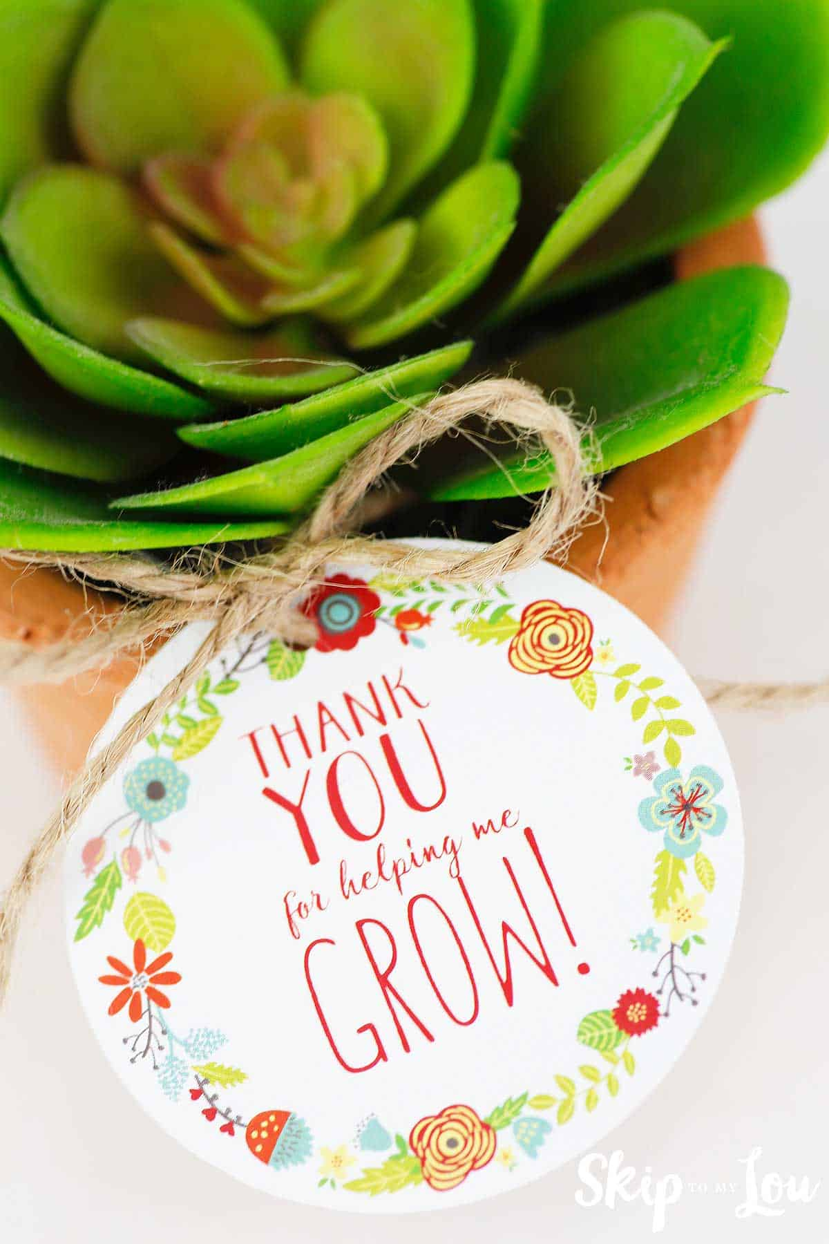 FREE Printable Thank You for Helping Me Grow Gift Tags Skip To FREE Printable Thank You for Helping Me Grow Gift Tags Skip To